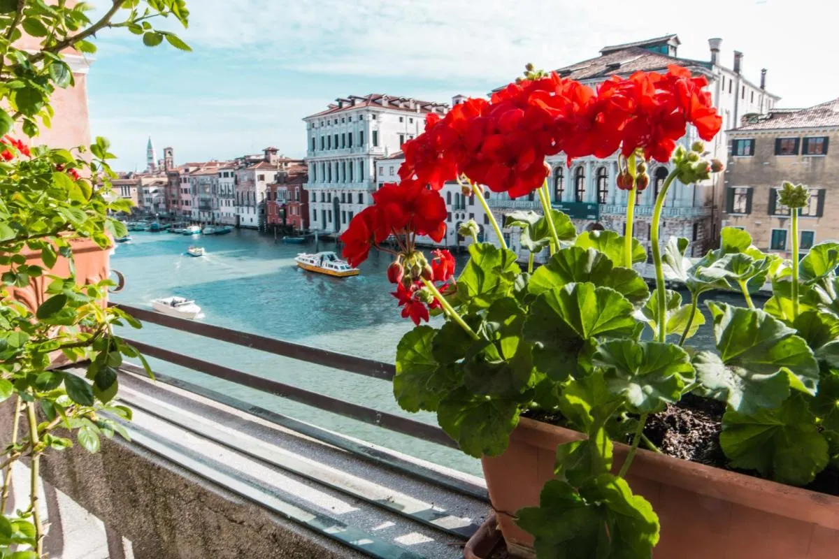 Image 5 of Ca Zulian Venice – Grand Canal