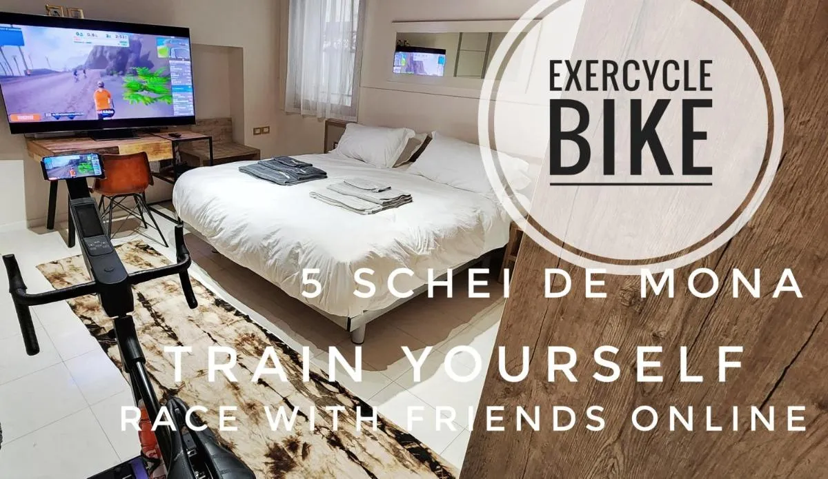 Image 1 of 5 SCHEI DE MONA Best Holiday Apartment with Gym in Venice Cannaregio