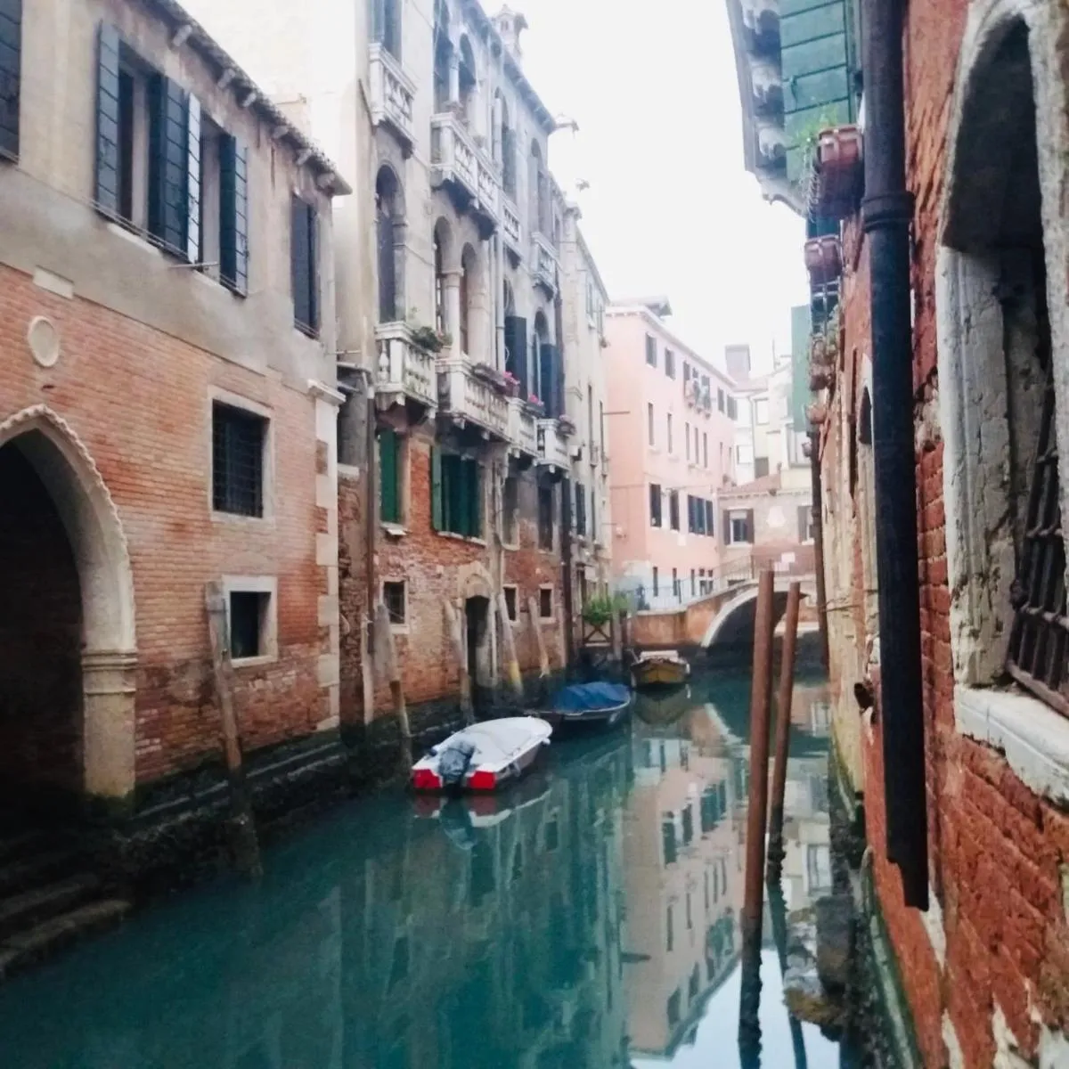 Image 5 of Ai Sogni