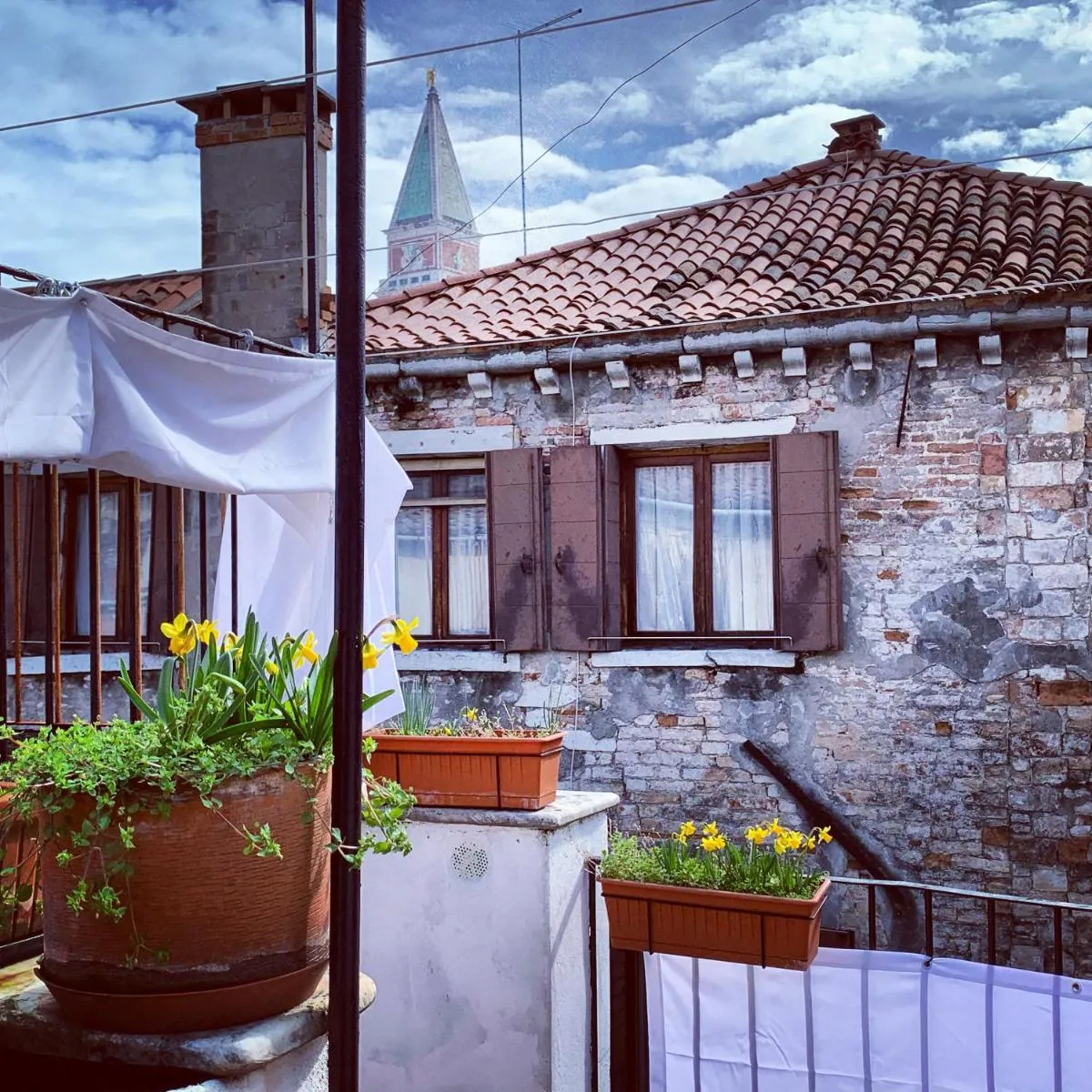 Image 3 of ROOFTOP TERRACE Domus dei fabbri