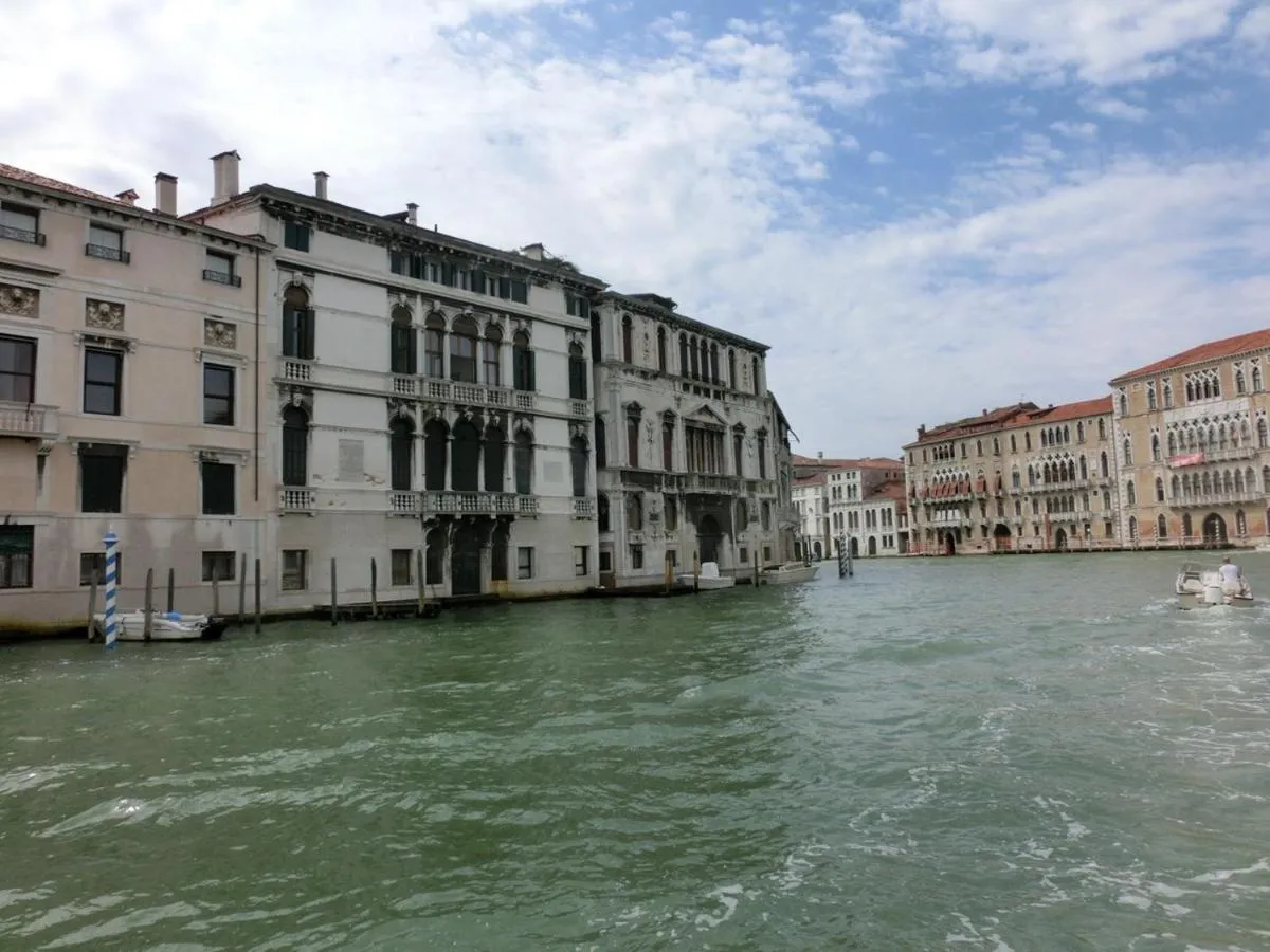 Image 5 of San Marco White Apartment