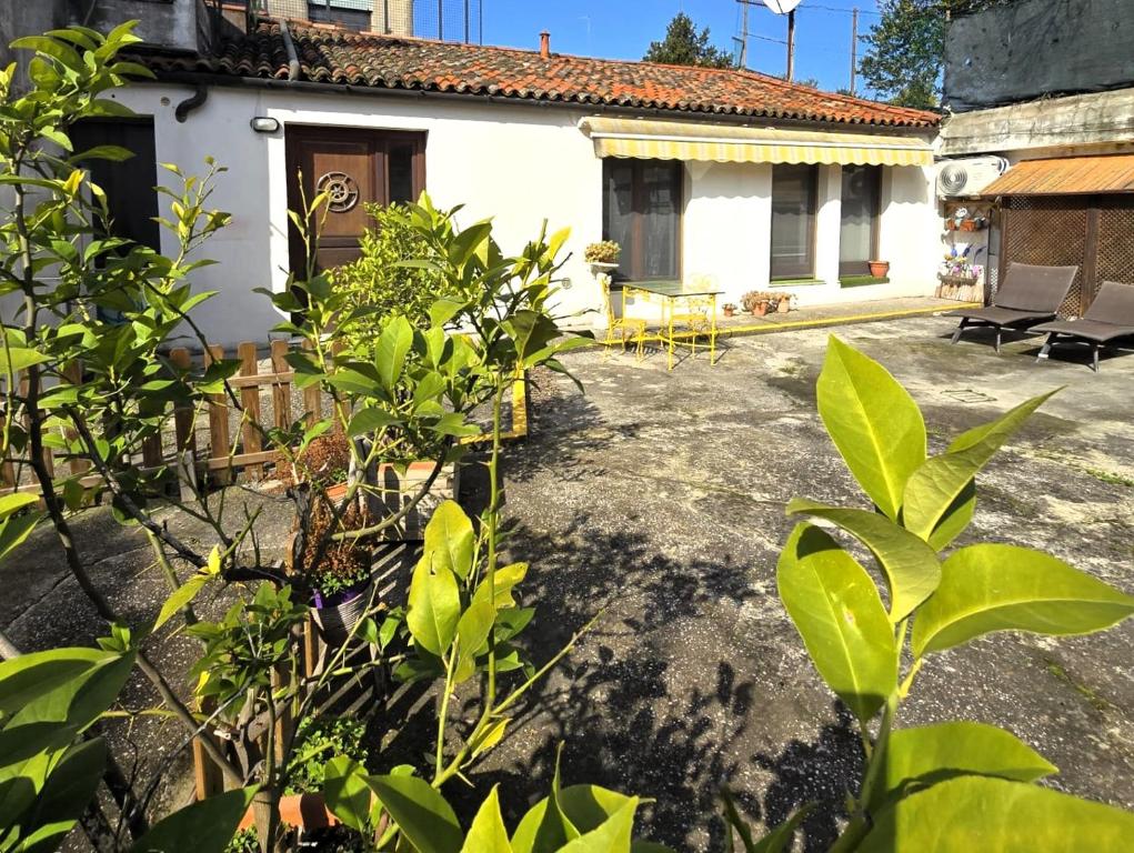 Image of Anna’s Garden Venice
