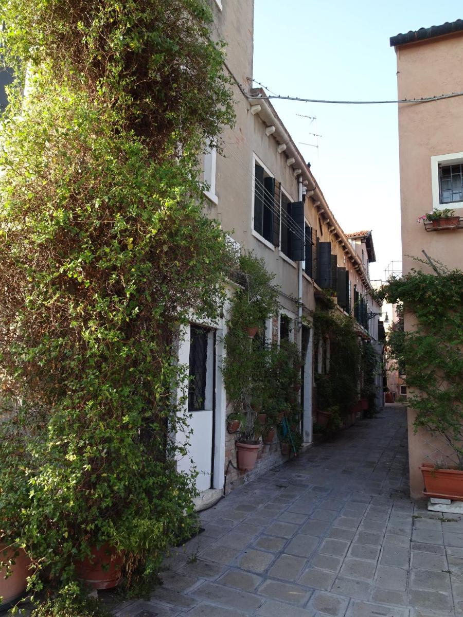 Image 5 of Artist House