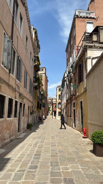 Image of B&B Fortuny