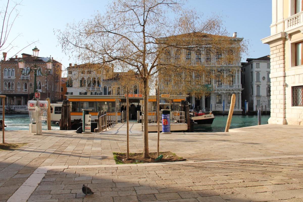 Image 5 of Sarai Apartments